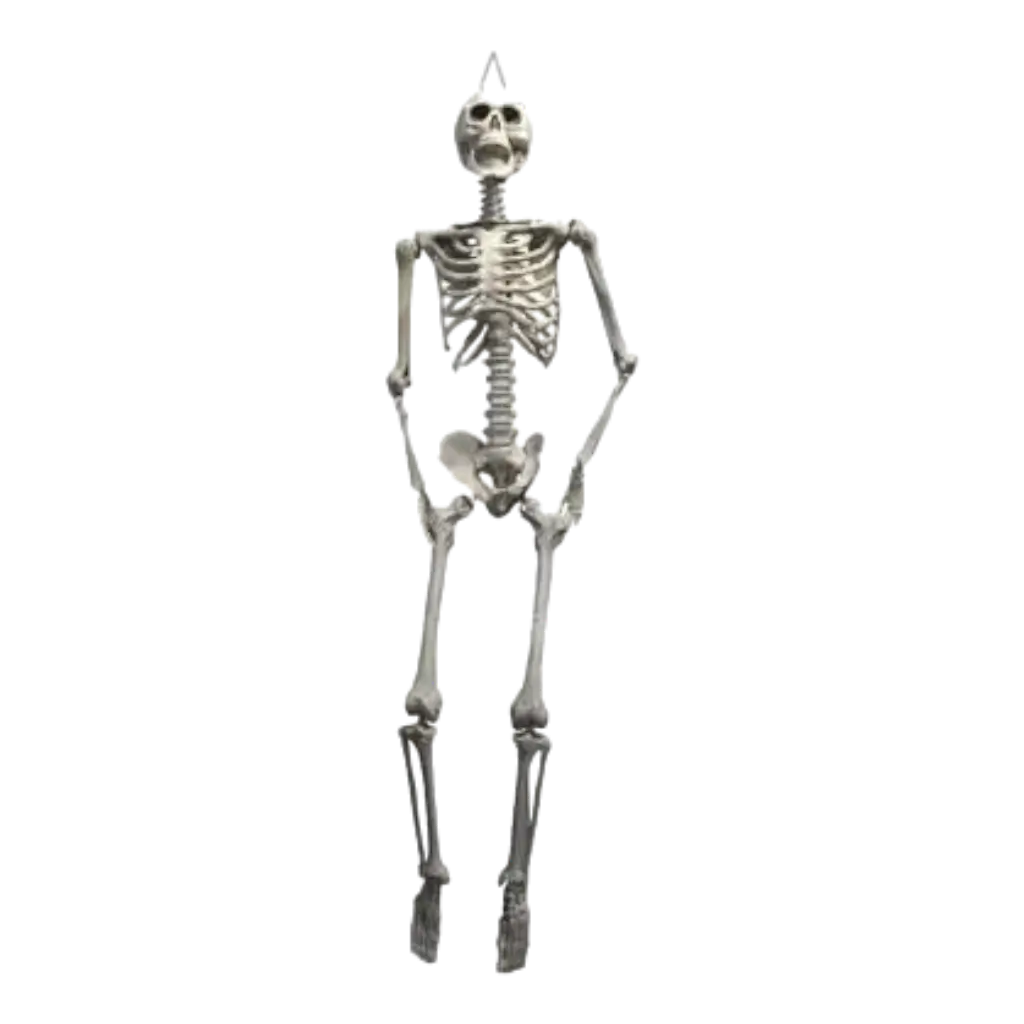 Giant Skeleton to hang 200cm