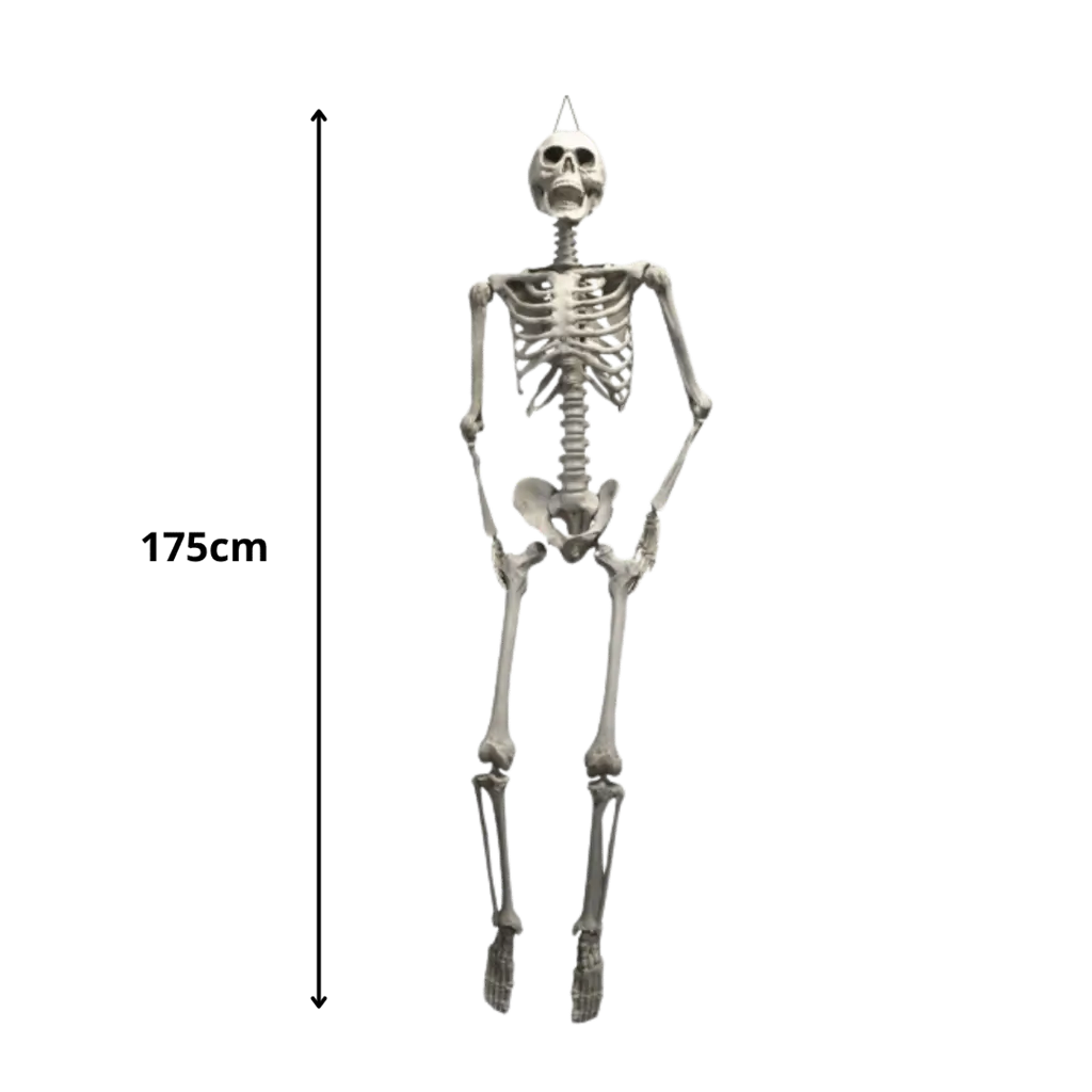 Giant Skeleton to hang 200cm