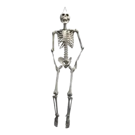 Giant Skeleton to hang 200cm