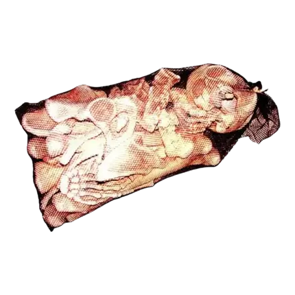 Bag of bones 18 pieces