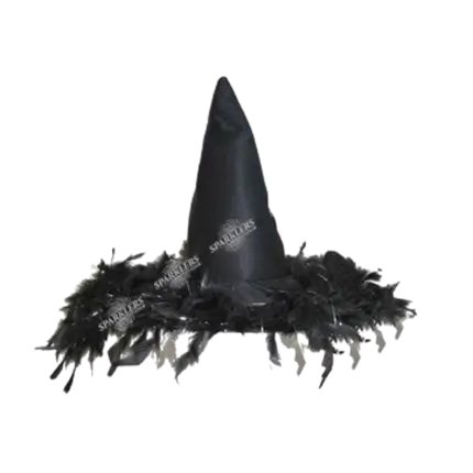 Witch hat with feathers