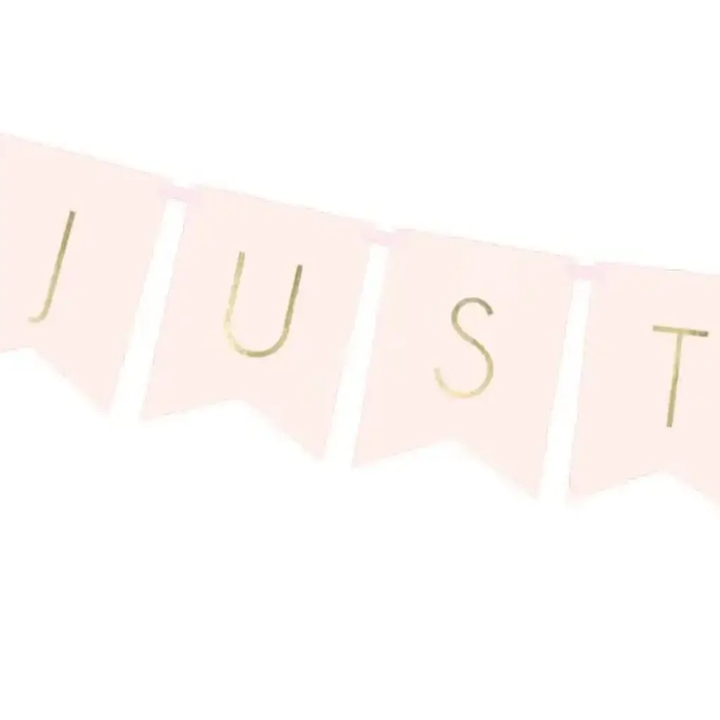 Just Married pink wedding banner