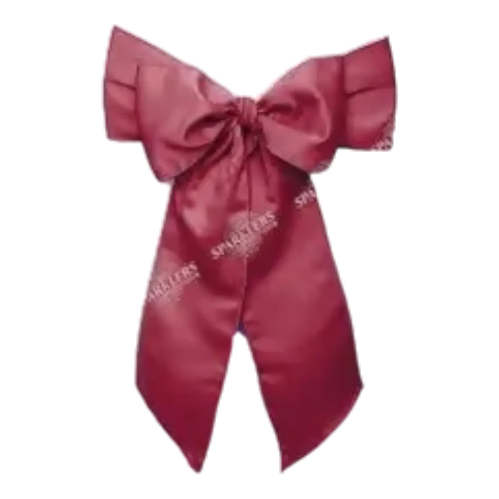  Set of 10 red chair bows