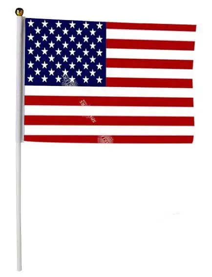 Pack of 12 USA Flags 14x21cm