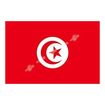Tunisia Flag 90x150cm