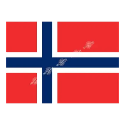 Norway Flag 90x150cm