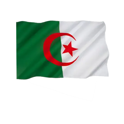 Algeria Flag 90x150cm