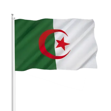 Algeria Flag 30x45cm with stick