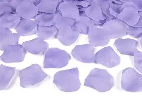 100 purple rose petals