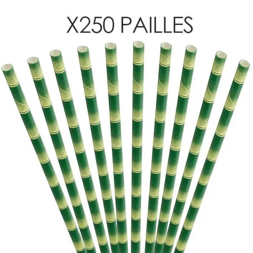 Bamboo paper straw 20cm /ø6mm (250 pcs)