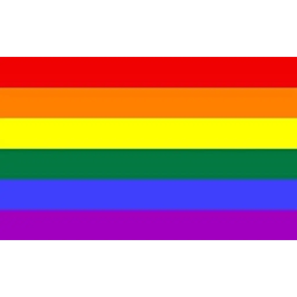 LGBT+ Rainbow Flag 90x150cm
