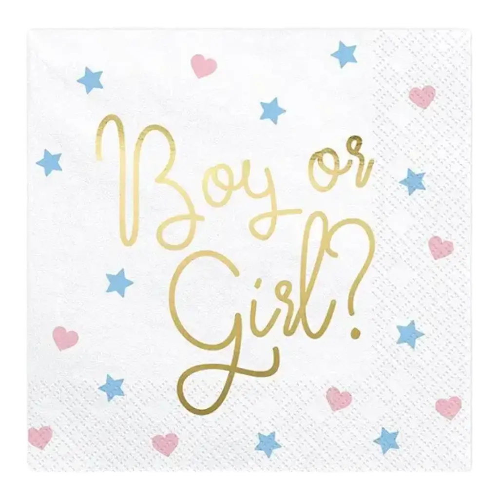 Boy or Girl paper napkins with patterns (Set of 20)