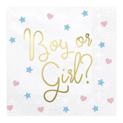 Boy or Girl paper napkins with patterns (Set of 20)