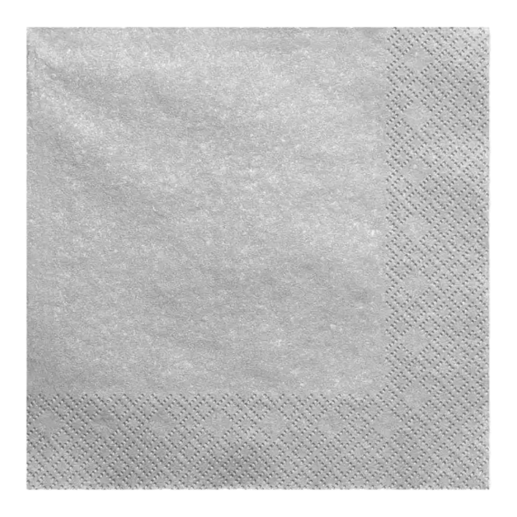 Silver/Silver paper towel (Set of 20)