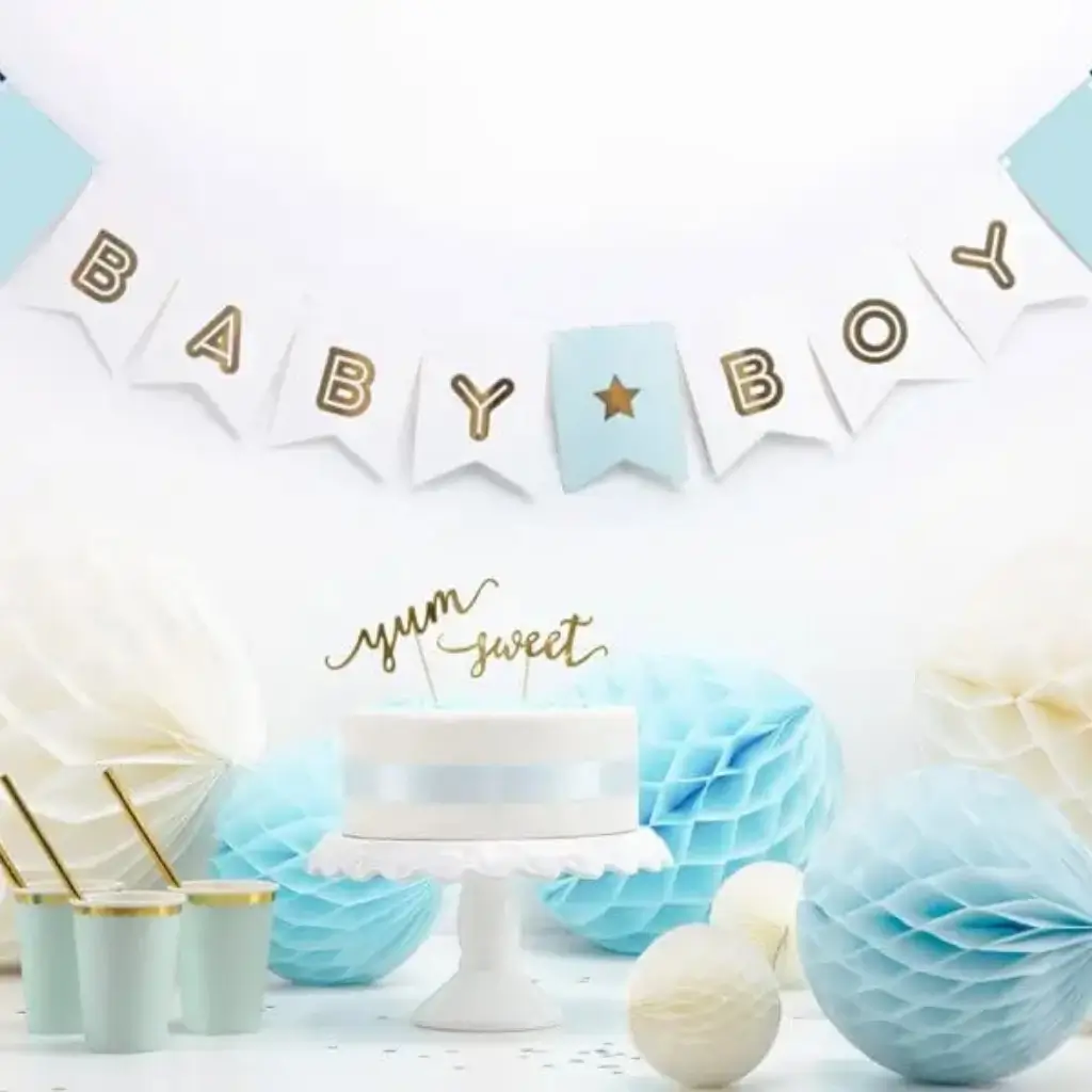 Baby Boy paper garland