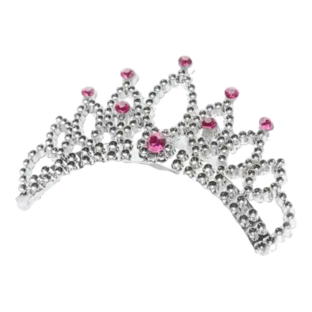 Silver Tiara Crown With White Veil