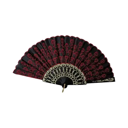 Black Fan With Red Inscription