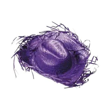 Purple Caribbean Cowboy Hat