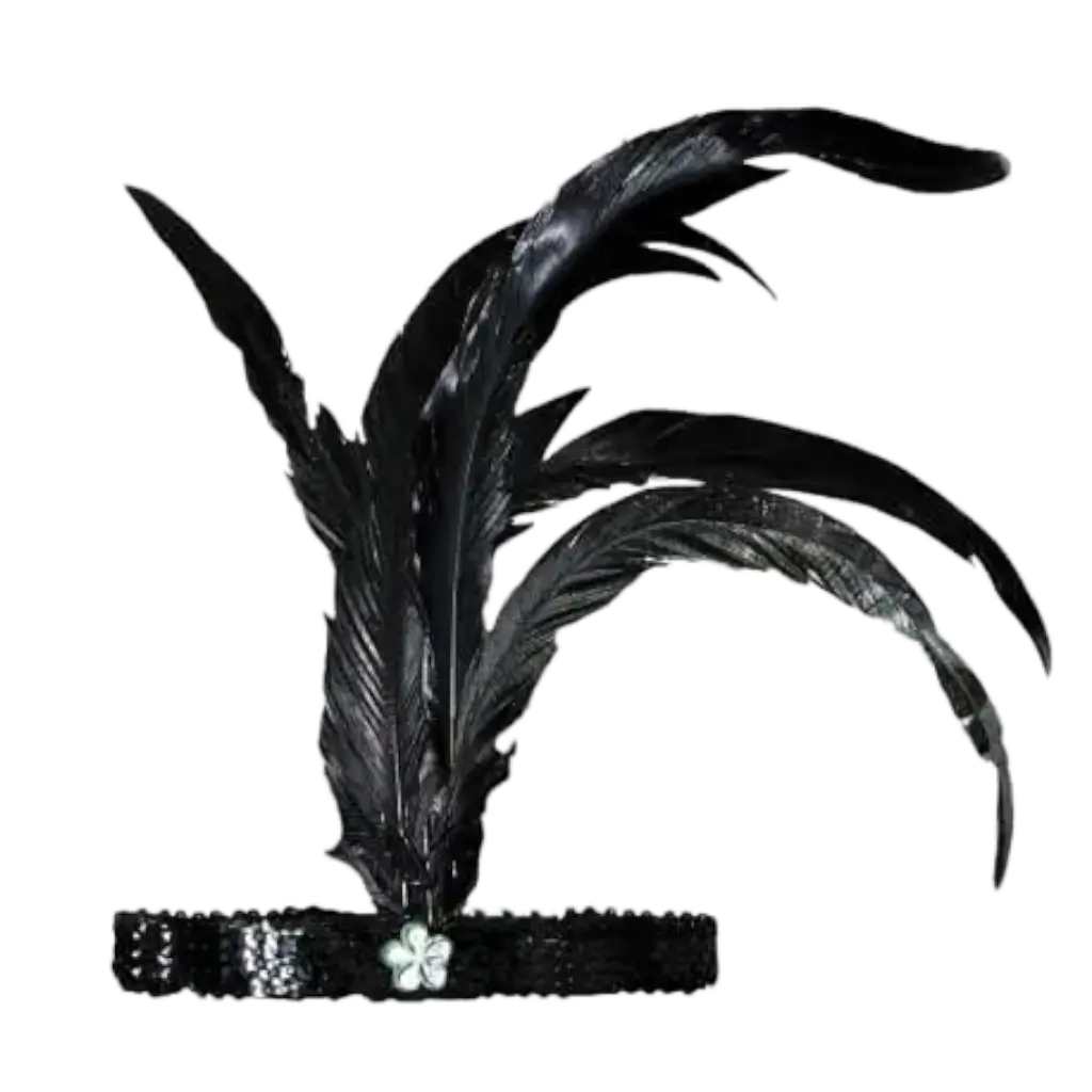 Black Charleston Headband With Feathers