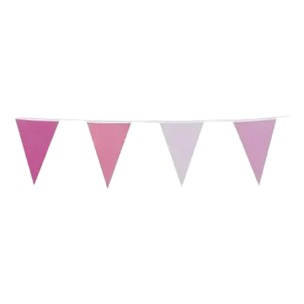 Garland 10 pink pennants