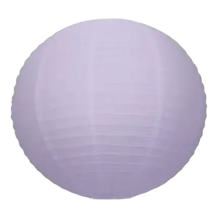 Japanese lantern lavender 35cm