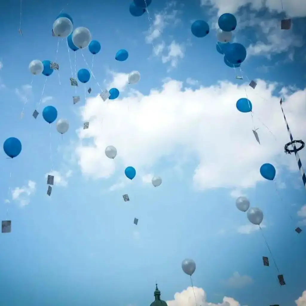 Balloon release net (200 balloons)
