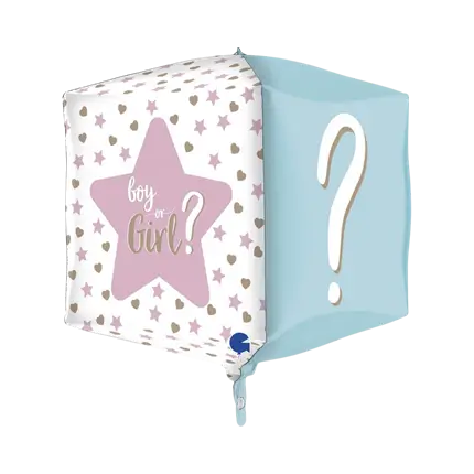 Gender Reveal 4D Square Balloon 38cm