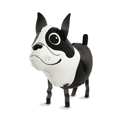 Balloon Boston Terrier 48cm
