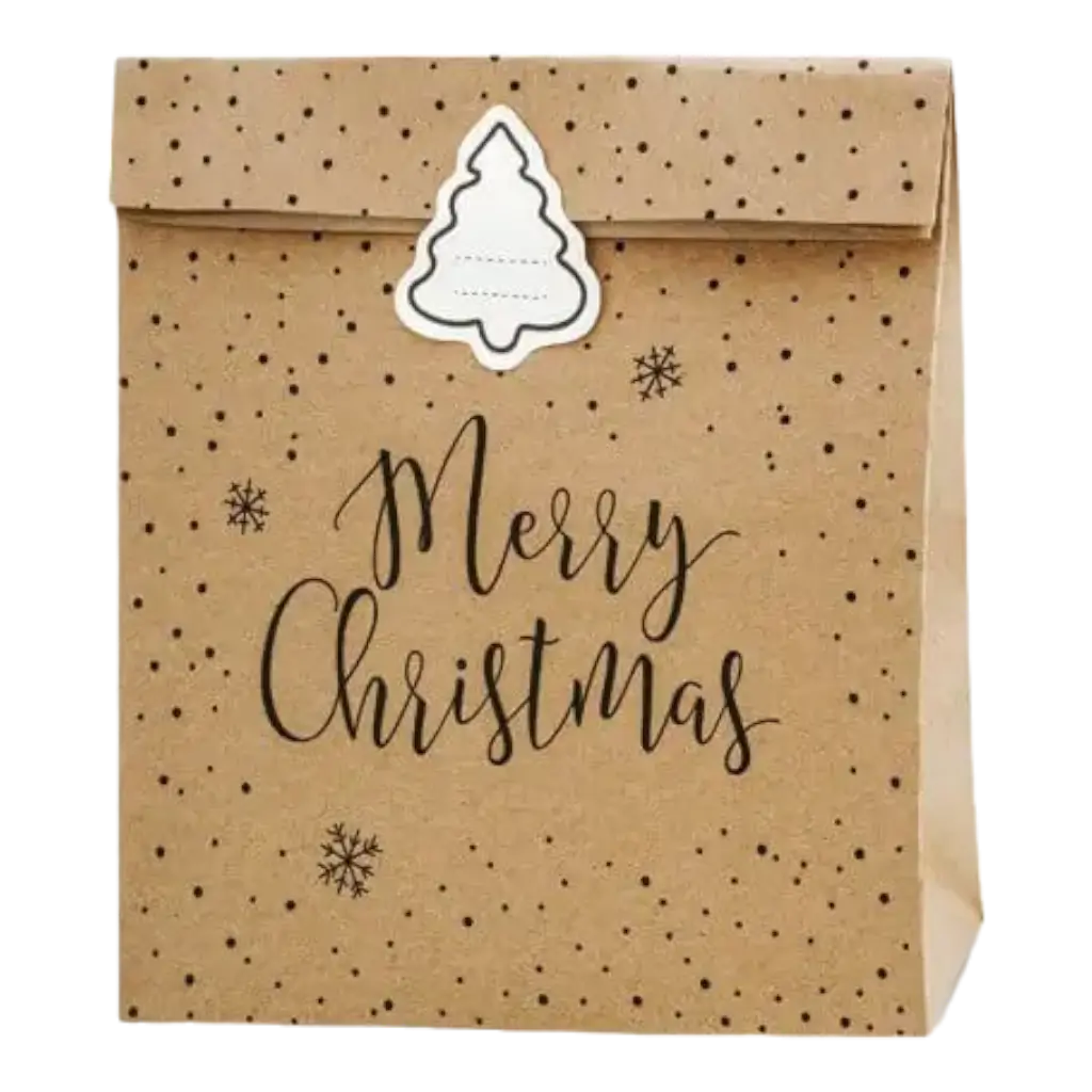 Merry Christmas kraft paper gift bag (3 pieces)
