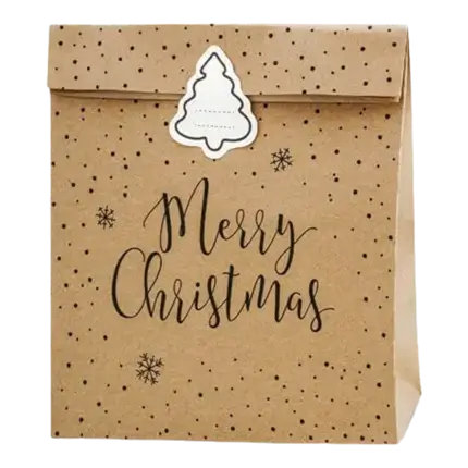 Merry Christmas kraft paper gift bag (3 pieces)