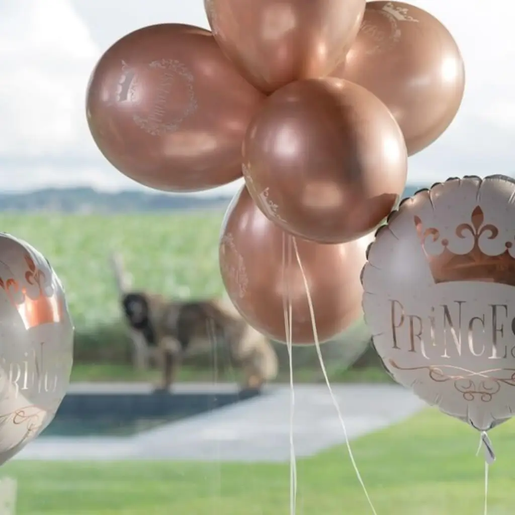 Princess Pink Gold Balloon ø 30cm (set of 6)
