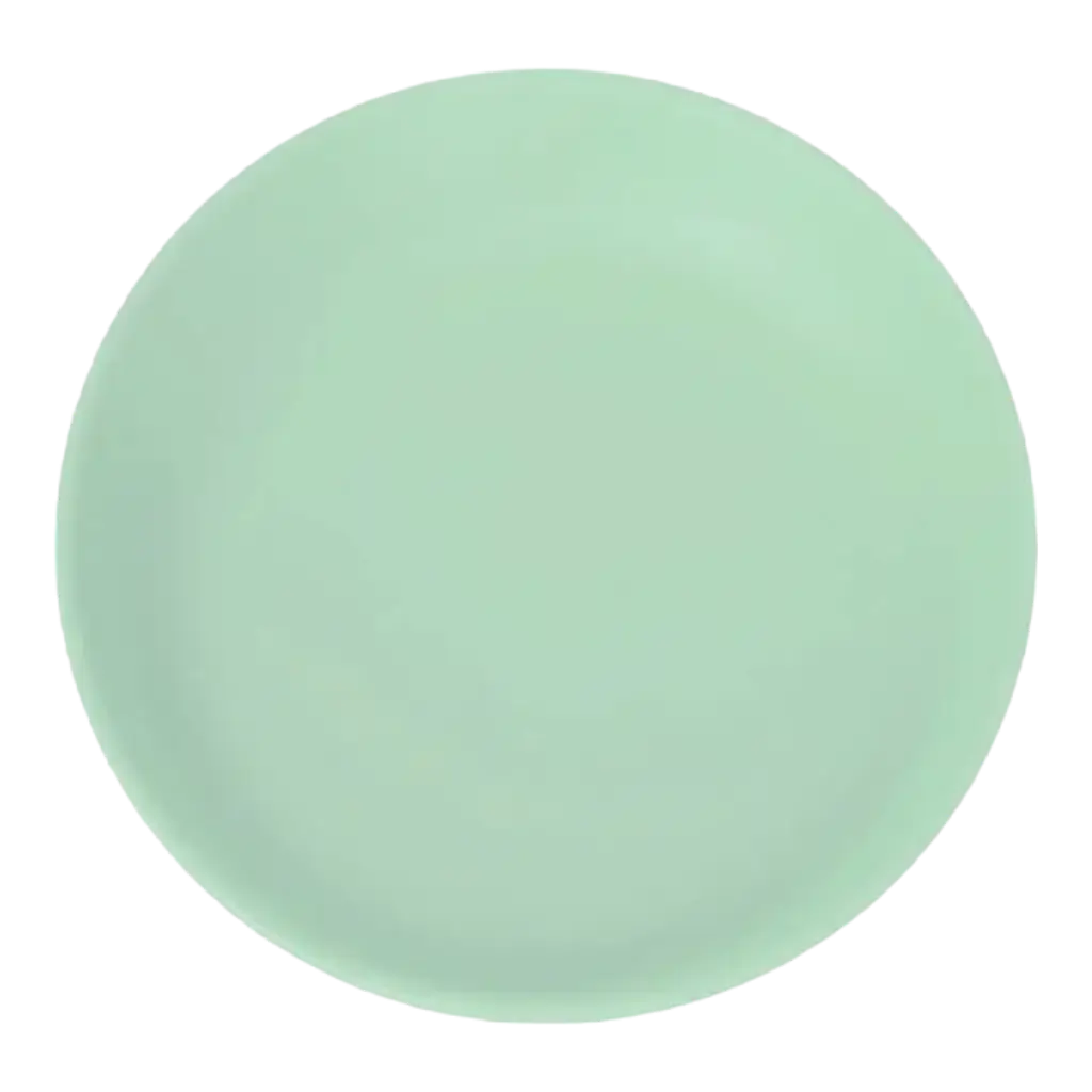 Unbreakable Pastel Green Flat Plate ø 21cm