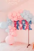Gender Reveal Balloon Arch Blue/Pink
