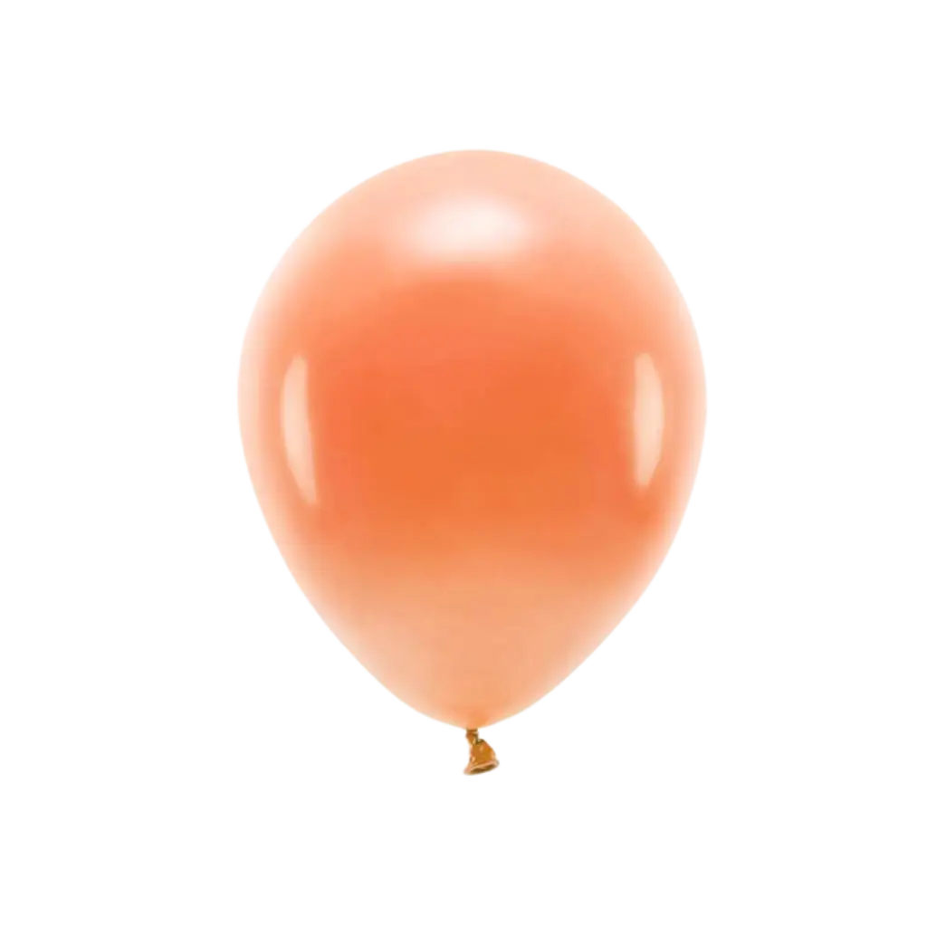 Pack of 10 Orange Biodegradable Balloons