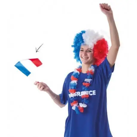 Pack of 12 French Flags with Wand 14x21cm