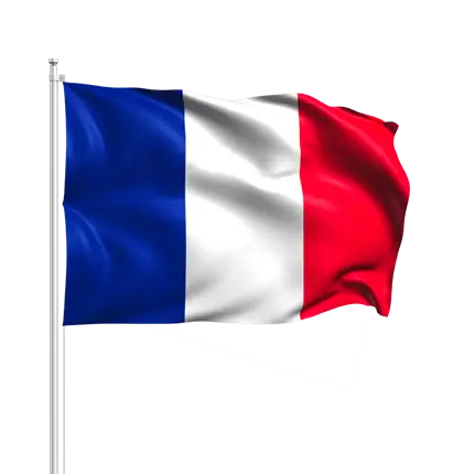 Pack of 12 French Flags with Wand 14x21cm