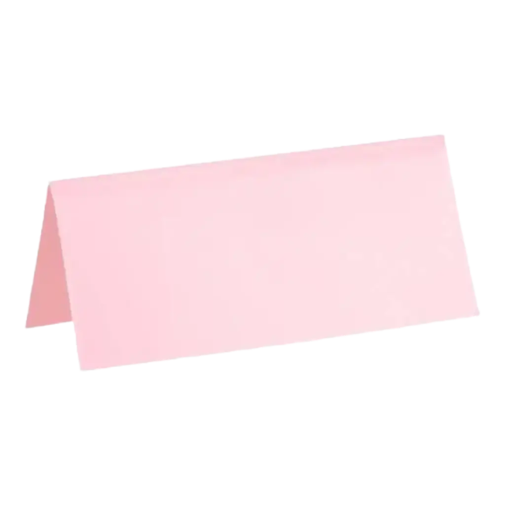 Pink Rectangle Place Mat - Set of 10