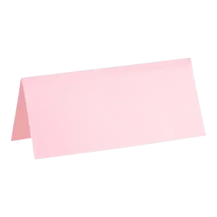 Pink Rectangle Place Mat - Set of 10