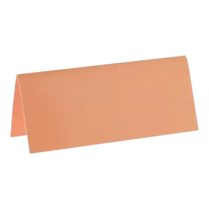 Coral Rectangle Place Mat - Set of 10