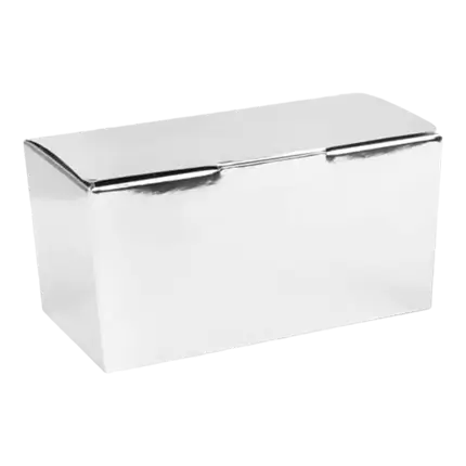 Plain Silver Ballotin 50g - Set of 25