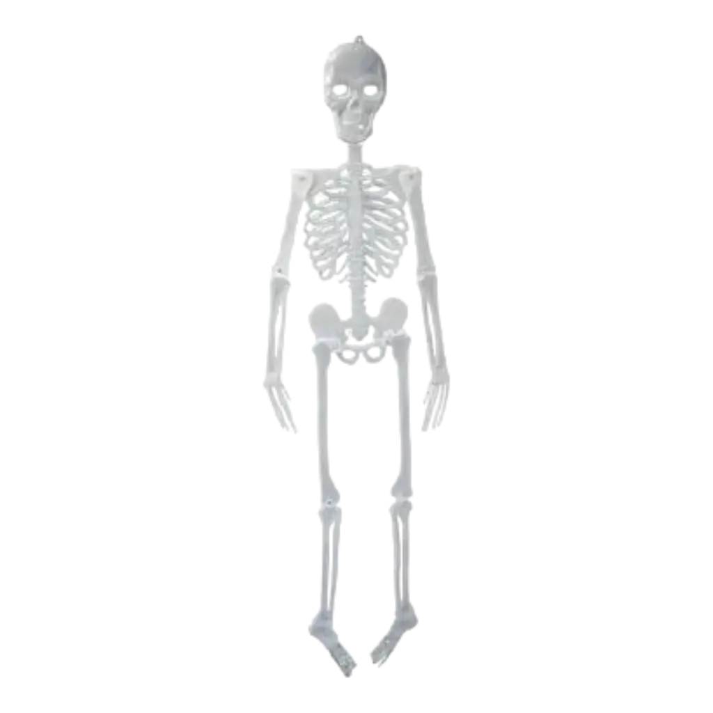 Giant phosphorescent skeleton - 150cm