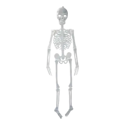 Giant phosphorescent skeleton - 150cm