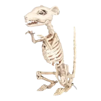 RAT SKELETON - 33CM
