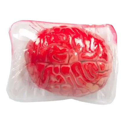 BRAIN XL IN TRAY - 16 X 12 CM