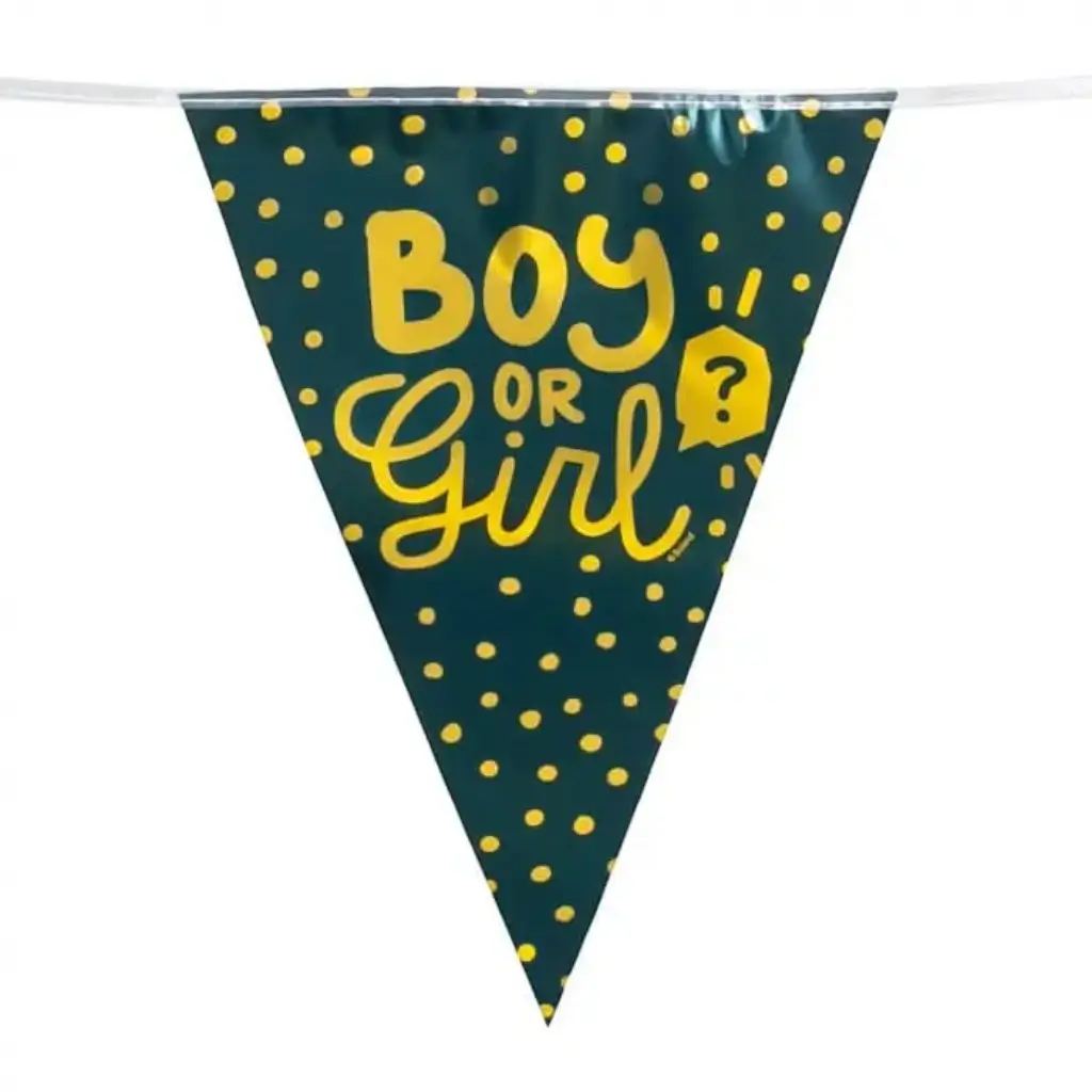 Boy or Girl" black and gold pennant garland
