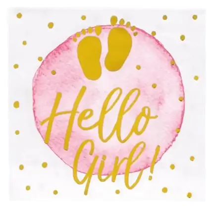 Hello Girl paper towels pink (set of 20)