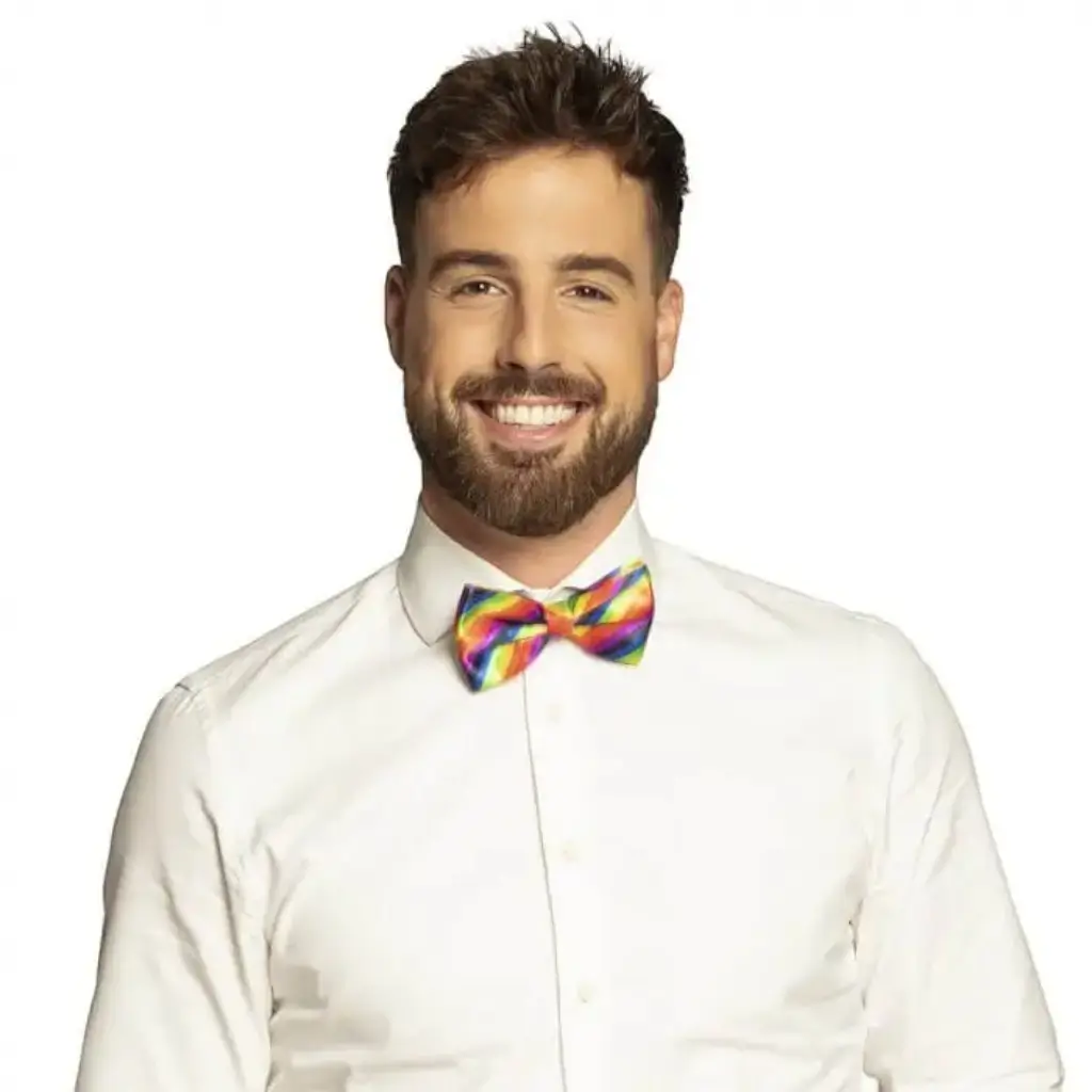 Multicolour Bow Tie