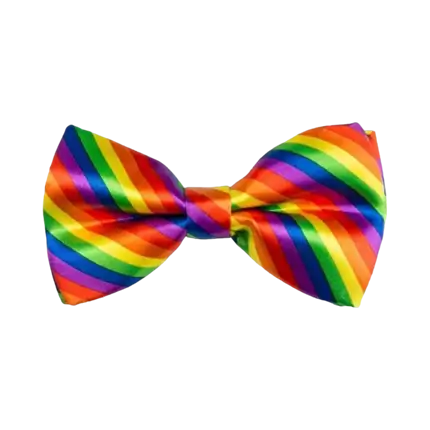 Multicolour Bow Tie