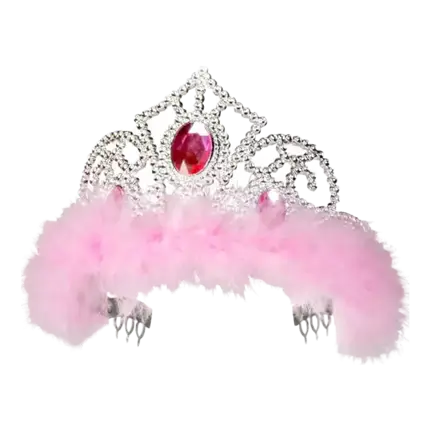 Princess Crown with Pink Feathers