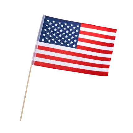 US flag with wand (30x45cm)